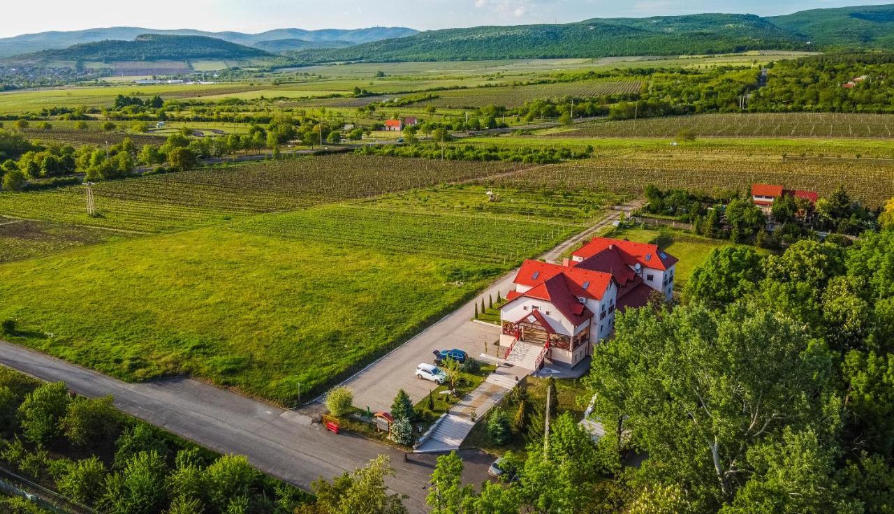 Hotel Borhotel Sziluett Farkasmály Gyöngyös